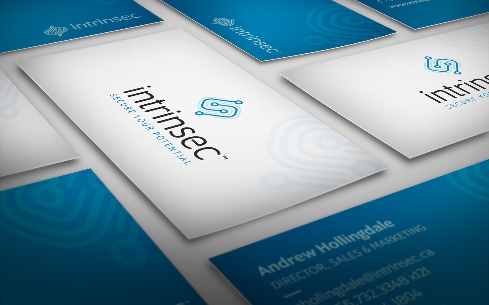 Intrinsec - Business Card Design Intrinsec - Business Card Design