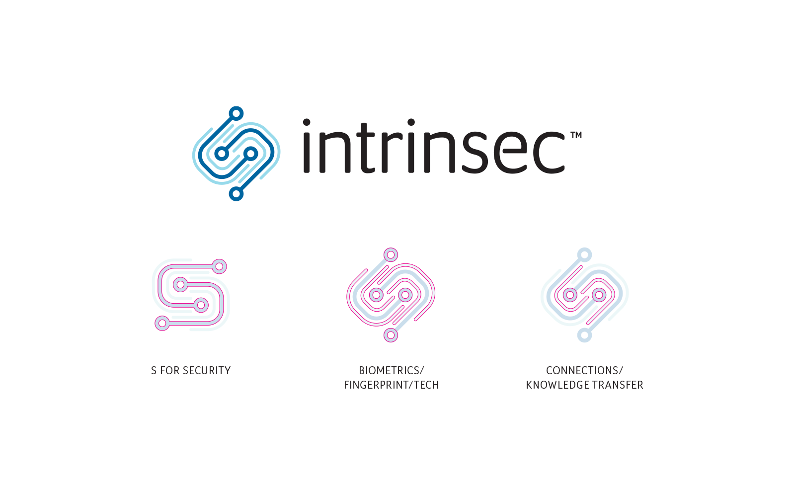 Intrinsec - Logo Design Formation Intrinsec - Logo Design Formation