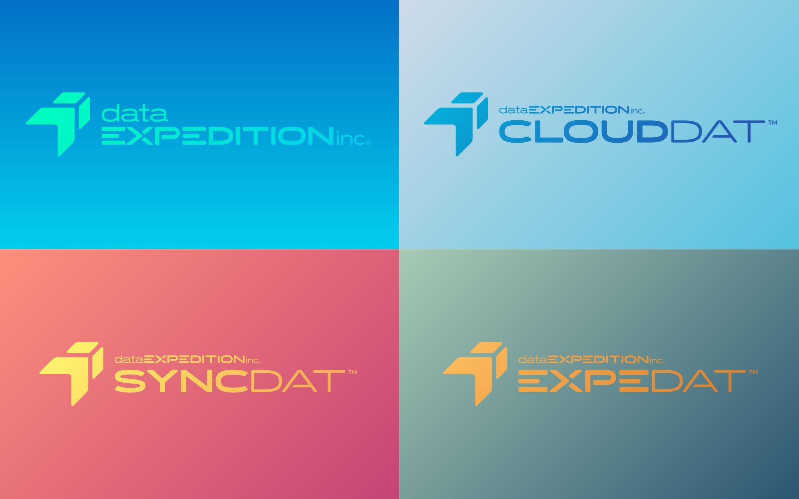Data Expedition - Logo Design - All Logos Data Expedition - Logo Design - All Logos